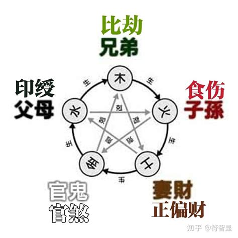 五行十神|十神